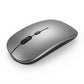 Mouse Bluetooth Dual
