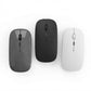 Mouse Bluetooth Dual