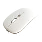 Mouse Bluetooth Dual